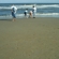 C67bca6d600_st