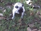 0ba59681617_s