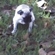 0ba59681617_st