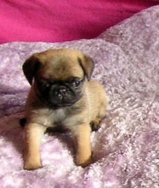 81addfe9c7ec8f53_xl