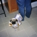 230e6a64690_st
