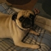 Ee0f0493706_sq