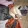 Bb955b36337f5aea_st