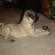 C12fbf03777_st