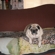 05c05041851_st