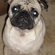 Fed00334854_st