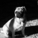 8da1a790876_st