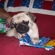 Ddc2c032884_st