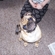 C84bc8d51090_st