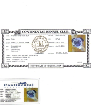 0c63fd6d1092_l