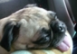 136fb165bedf79cf_sm