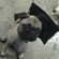 0bbff1d470861068_st