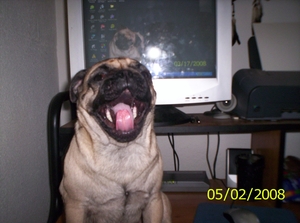 22002ea1f1be9dca_l