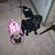 A26291616f798424_st
