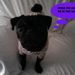 0cbbed3230279df8_sq