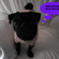 0cbbed3230279df8_st