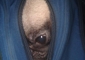 1745e3a97e203629_sm