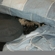 3f0568d83af01475_st