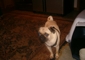 Fb0558c9378e0d54_sm