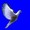 Companion Avian Training-Krontalb