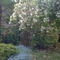 waterlooelaine