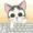 smartkitty