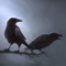 twinofmunin