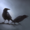 twinofmunin