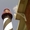 jojosee