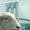 Brooklynsheep