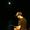 Scatterbrain