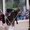 amelia_snowflake