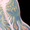 Xanthia