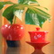 fangtea