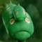 beleafed