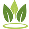 TeaBrews.com