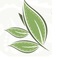 Teareviewblog