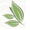 Teareviewblog