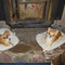TeaDreams1