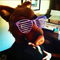Boarhound