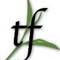 TeaFrog