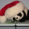 Ming