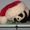 Ming