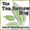 The Tea Review Blog