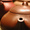 gongfu