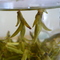 Gingko (manager of Life in Teacup)