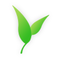 nerditea