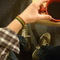 brightvampiretea