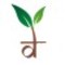 DarjeelingTeaXpress