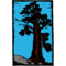 Juniper